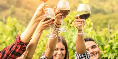 hunter valley wine bus tour from sydney